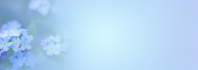 Beautiful forget-me-not flowers on light blue background, space for text. Banner design