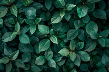 A floral wallpaper pattern design with a vintage texture