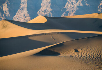 A desert landscape with mountains in the background
