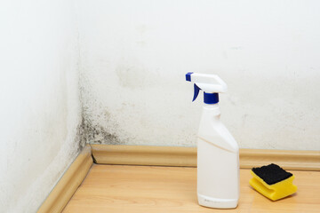 Spray bottle and sponge near black mould wall. House cleaning concept © Stefan