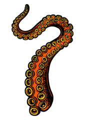 octopus tentacle sea food color sketch engraving PNG illustration. T-shirt apparel print design. Scratch board imitation. Black and white hand drawn image. © Oleksandr Pokusai