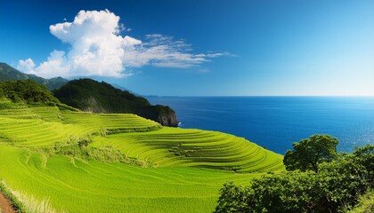 日本の棚田