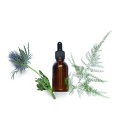 Bottle of essential oil, plant leaf and flower on white background