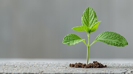 Dynamic images capturing the joy of overcoming challenges and experiencing personal growth. High Resolution picture, , Minimalism,