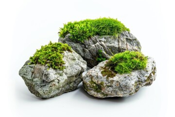 A pair of natural stones covered with lush green moss