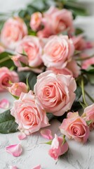 Close-up of pink roses and petals on a white surface