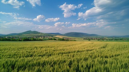 Fototapeta premium A Tranquil Countryside Landscape