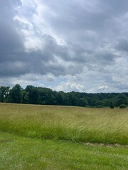 field and blue sky