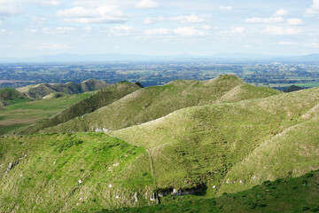 Farmland vista in the Waikato region of New Zealand
