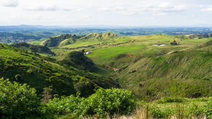 Farmland vista in the Waikato region of New Zealand