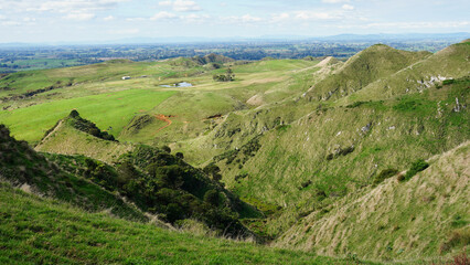 Farmland vista in the Waikato region of New Zealand