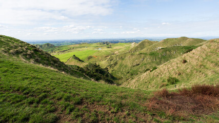 Fototapeta premium Farmland vista in the Waikato region of New Zealand