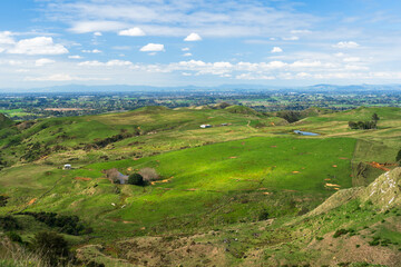 Fototapeta premium Farmland vista in the Waikato region of New Zealand