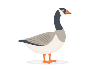 Obraz premium A standing goose cartoon illustration