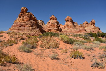 Fototapeta premium South Coyote Butte Rock Sandstone Formations in Arizona USA