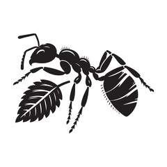 Ant silhouette vector