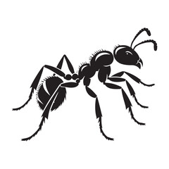 Ant silhouette vector