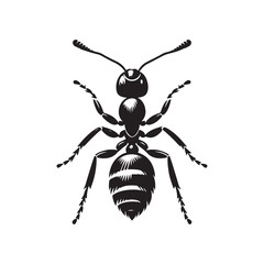 Ant silhouette vector