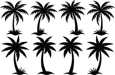 Palm tree Silhouette Bundle, set of black silhouettes of a palm tree

