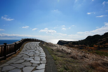 Fototapeta premium wonderful view with seaside walkway