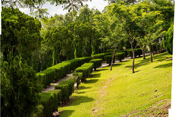 camino, bosque, pared de madera, vieja cerca, valla vieja, troncos, madera, plantas, hierva, tablas, valla
