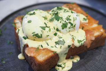 fried egg on a toast on a plate on a white background