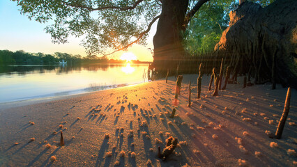 Sunset over the Noosa River, Everglades.