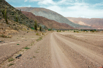 Dirty road with cactus in the mountains