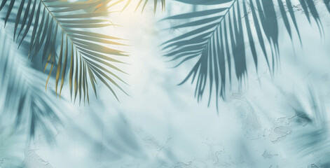 Abstract Shadow of Palm Tree on White Wall with Blurred Leaves in Light Blue and Gray Colors, Summer Concept for Banner or Printing, Close-Up
