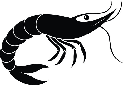 recommend clip art: shrimp vector silhouette, shrimp icon vector, Sea lobster
                    
                    