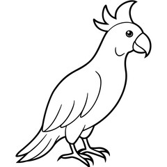 cockatoo-full-body
