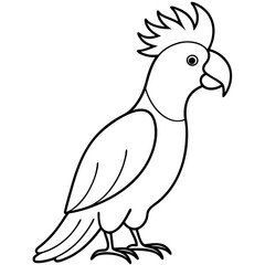 Fototapeta premium cockatoo-full-body