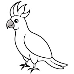 cockatoo-full-body