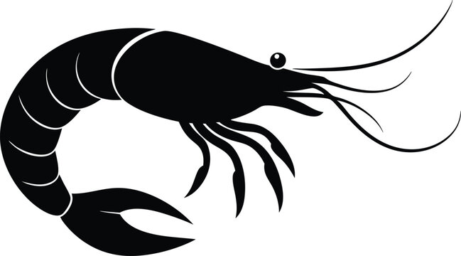 recommend clip art: shrimp vector silhouette, shrimp icon vector, Sea lobster
                    
                    