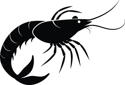 recommend clip art: shrimp vector silhouette, shrimp icon vector, Sea lobster
                    
                    