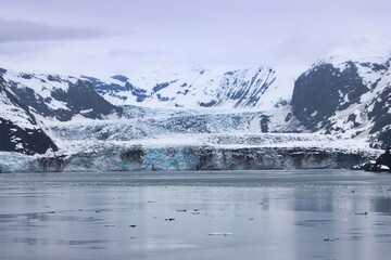 Obraz premium College Fjord, Alaska