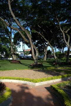 El verde y los jardines en caracas.
En Caracas podemos disfrutar de hermosos parques con muchos &aacute;rboles y gran cantidad de verde.