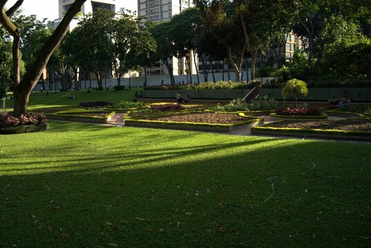 El verde y los jardines en caracas.
En Caracas podemos disfrutar de hermosos parques con muchos &aacute;rboles y gran cantidad de verde.