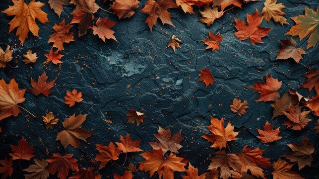Fall leaves texture composition Thanksgiving theme flat lay with copy space