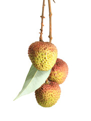 lychee isolated on white background