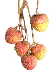 lychee isolated on white background