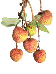 lychee isolated on white background