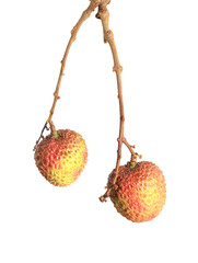 lychee isolated on white background