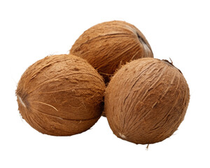 coconut