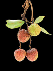 A bunch of fresh summer fruit lychees on a black background