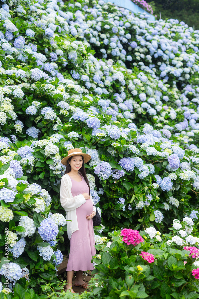 Sticker Beautiful pregnant woman in Hydrangea flower farm