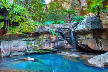 Tranquil serenity at the Moss Garden