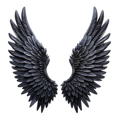 Fototapeta premium Black wings isolated on transparent background
