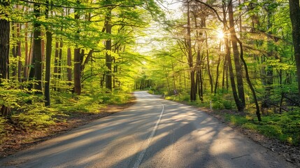 A road through a vibrant forest in spring, with fresh green leaves and blooming flowers, symbolizing new beginnings.