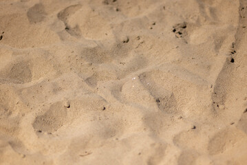 beach sand for background